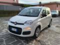usato FIAT Panda