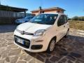 usato FIAT Panda