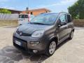 usato FIAT Panda