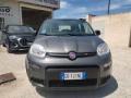 usato FIAT Panda