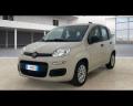 usato FIAT Panda
