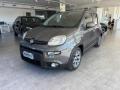 usato FIAT Panda