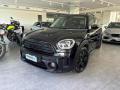 usato MINI Countryman