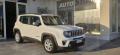 usato JEEP Renegade
