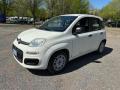 usato FIAT Panda