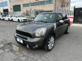 usato MINI Countryman
