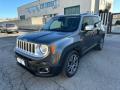 usato JEEP Renegade