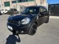 usato MINI Countryman