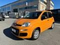 usato FIAT Panda