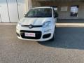 usato FIAT Panda