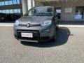 usato FIAT Panda