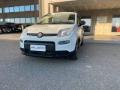 usato FIAT Panda