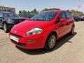 usato FIAT Punto