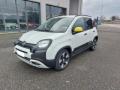 usato FIAT Panda