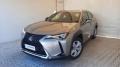 usato LEXUS UX 250h