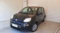 usato FIAT Panda