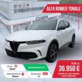 Km 0 ALFA ROMEO Tonale