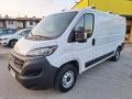 usato FIAT Ducato