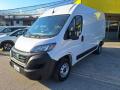 usato FIAT Ducato