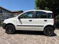 usato FIAT Panda