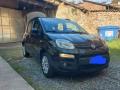 usato FIAT Panda