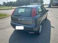 usato FIAT Punto
