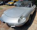 usato ALFA ROMEO Spider