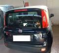 usato FIAT Panda