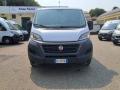usato FIAT Ducato
