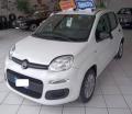 usato FIAT Panda