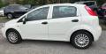 usato FIAT Punto