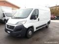 usato FIAT Ducato