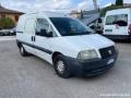 usato FIAT Scudo