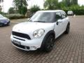 usato MINI Countryman