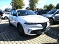 usato ALFA ROMEO Tonale