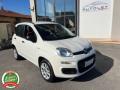 usato FIAT Panda