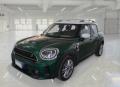 usato MINI Countryman