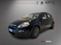 usato FIAT Punto Evo