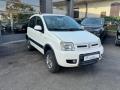 usato FIAT Panda