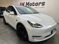 usato TESLA Model Y