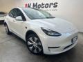 usato TESLA Model Y