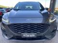 usato FORD Kuga