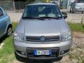 usato FIAT Panda