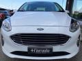 usato FORD Fiesta