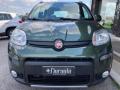 usato FIAT Panda