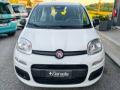 nuovo FIAT Panda