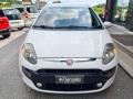 usato FIAT Punto Evo