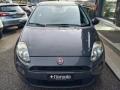 usato FIAT Punto
