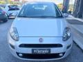 usato FIAT Punto Evo