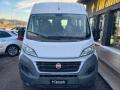 usato FIAT Ducato